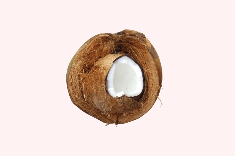cut coconut on pink background