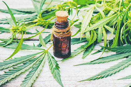 Cbd oil for pain, diet and cancer