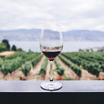A glass of red wine with a vineyard background