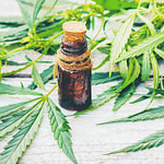 Cbd oil for pain, diet and cancer